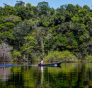 Amazônia concentra 48,2% dos processos de minerais críticos e estratégicos